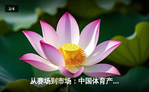 从赛场到市场：中国体育产业数字化转型的机遇与挑战 - 2